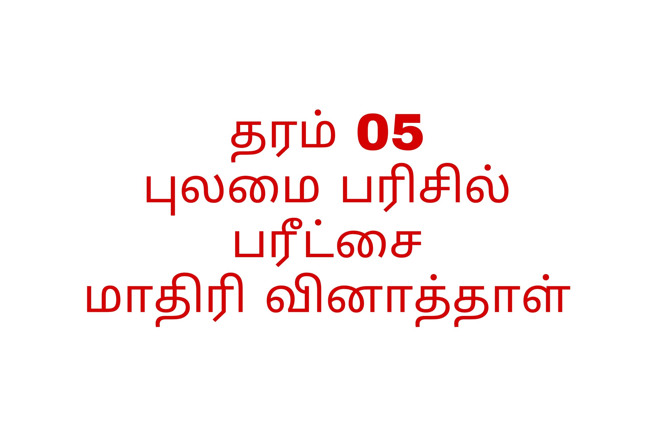 Grade 05 scholarship exam tamil medium